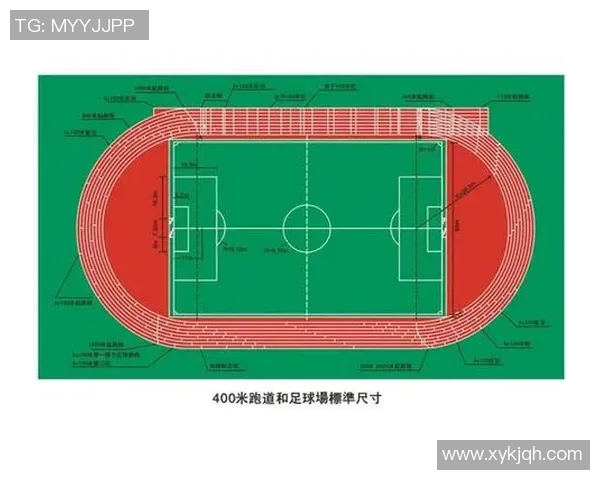 足球明星独特步法解析与技巧分享助你提升球场表现
